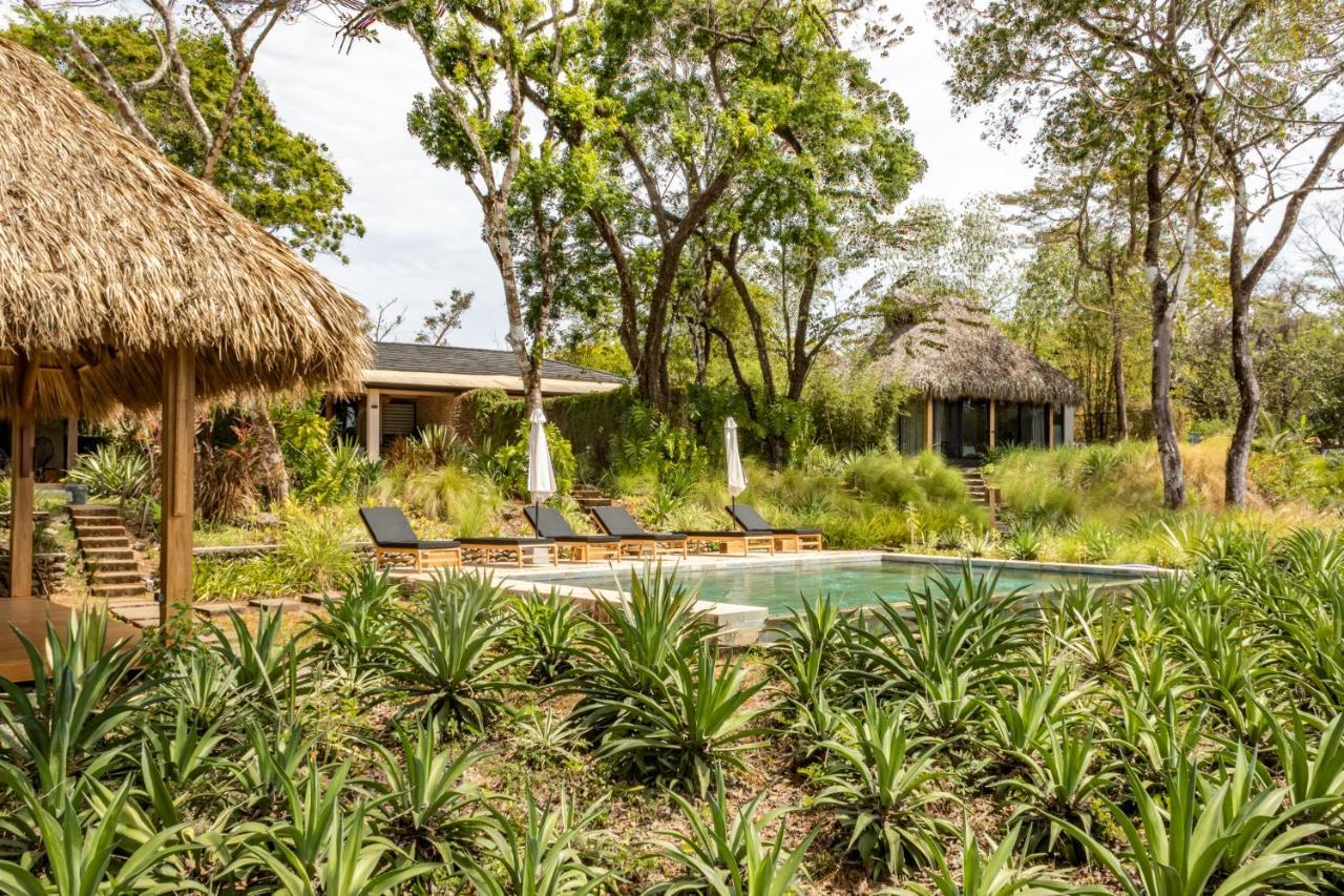 Thea Resort & Retreats - Santa Teresa Playa Santa Teresa  Exterior foto